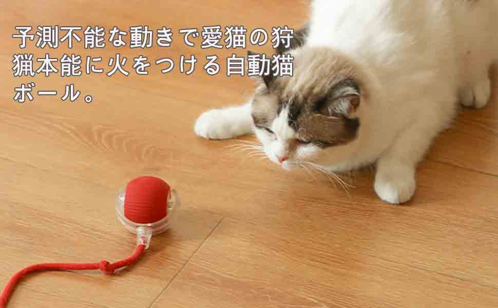猫のおもちゃ、自動猫ボール、USB充電式、LEDライトが含まれています