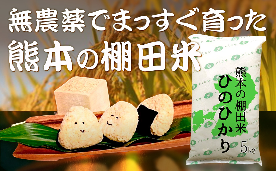 Amazon.co.jp: 無農薬 白米 10kg ヒノヒカリ 熊本県産 新米 令和