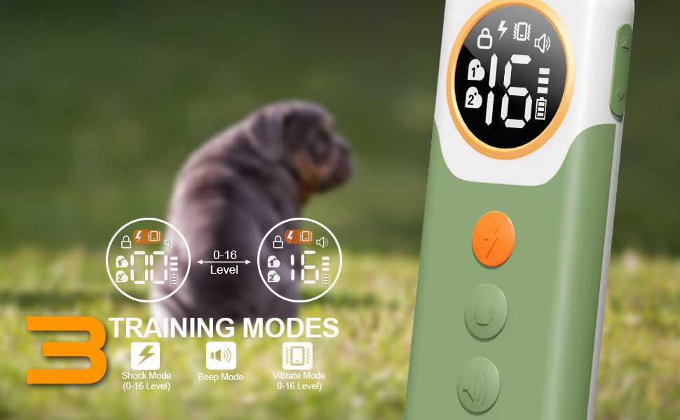 Heaflex Electric Dog Training Collar with Remote 2400FT, E