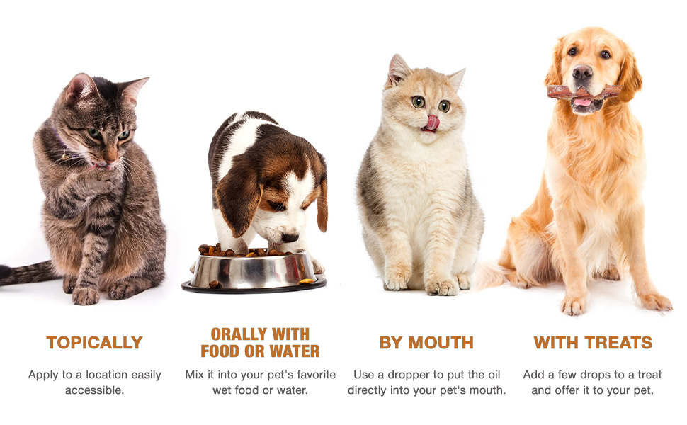 Usage Instructions