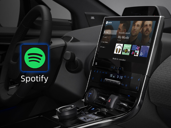 Amazon.com: Ottocast Multimedia Video Adapter Play2Video Pro