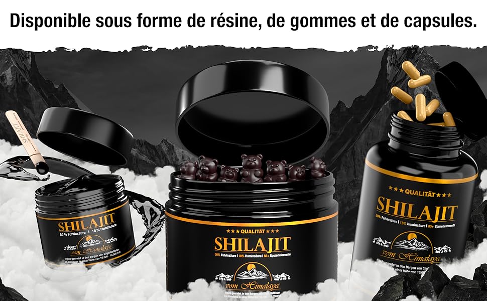 Shilajit shilajat shilaj capsules pommade original mumijo Himalaya bio hautement dosé résine gaia