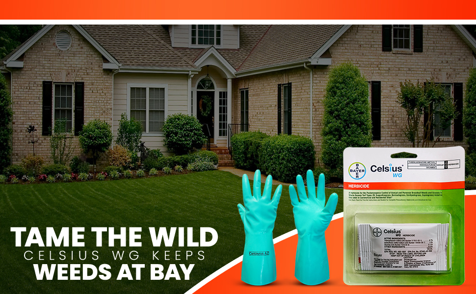 Celsius WG Herbicide Broadleaf Weed Killer for Lawns
