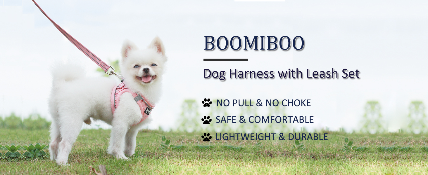 No Pull Adjustable Reflective Step-in Puppy Harness with Padded Vest for Small Medium Large Dog