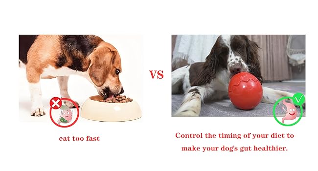 treat dispensing dog toys,interactive dog toys,dog toy ball,puppy toy,dog supply