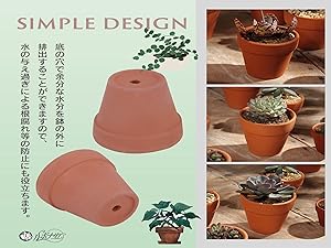 Amazon.co.jp: ルボナリエ 陶器鉢 ミニ 植木鉢 多肉植物鉢