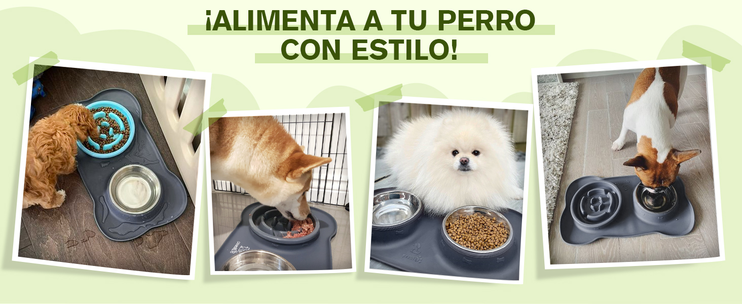 de cuatro imágenes que muestran elegantes cuencos para perros con varias razas comiendo. El texto en español dice «¡Alimenta a tu perro con estilo!»