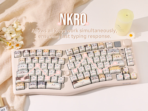 MechLands LEOBOG A75 75% Alice Keyboard, Wireless Gaming Keyboard MechLands LEOBOG A75 75% Alice Keyboard, Wireless Gaming Keyboard