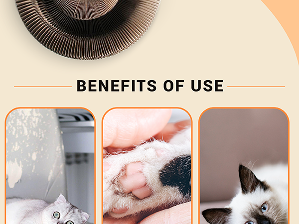 BobbyPet Cat Scratcher Lounge Bed - Collapsible Round Shape for Big cat for chasing hunting