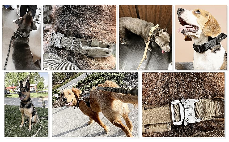 Tactical Dog Collar and Bungee Dog Leash SetAdjustable
