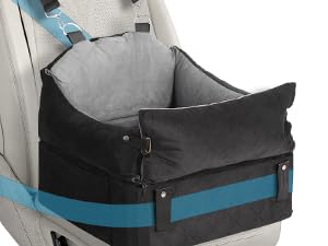 car seat for dogs