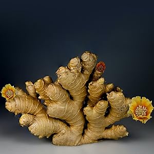 crème anti-cellulite cellulite creme creme raffermissante