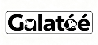 Galatée Pet Stairs, Removable and Washable Pet Ramp, High Density Foam Dog Steps 3 Levels Pet Climbing Ladder (Grey) 12