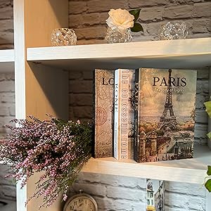 libros en estante