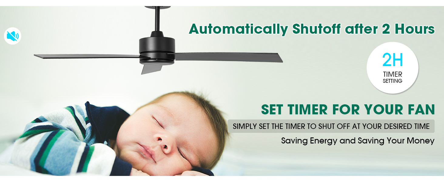 CEILING FAN WITH TIMER