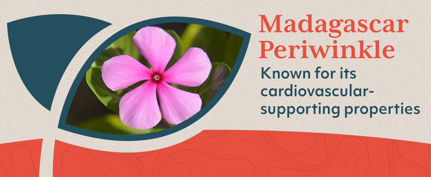 potassium pressure supplements taurate 1500mg taurato de magnesio best lower reducers medicine