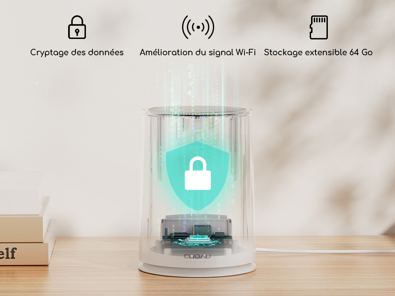 caméras de surveillance