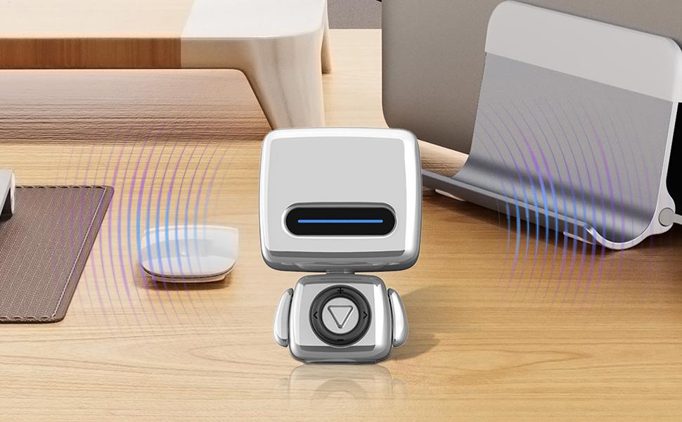 Portable Wireless Speaker