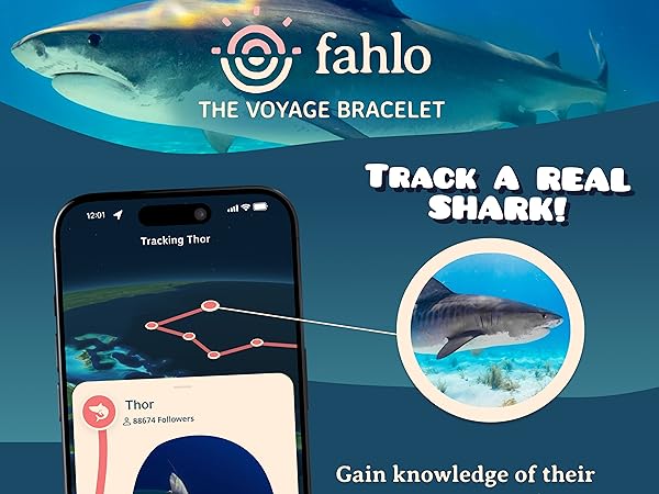 Amazon.com: Fahlo Shark Tracking Bracelet, Elastic, supports