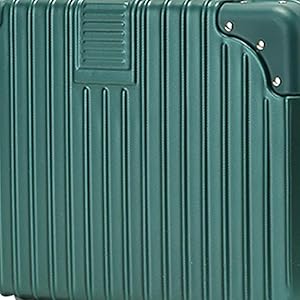 women's travel vanity case