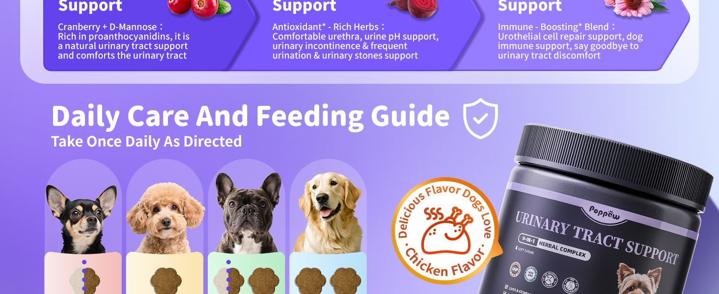 daily care and feeding guid