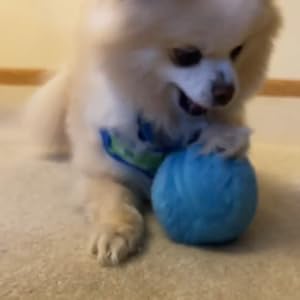 pelota interactiva