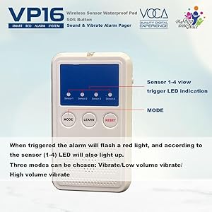 VP16