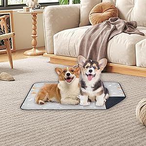 ペットの居心地