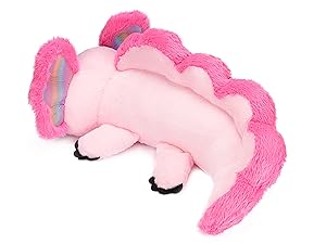 Axolotl