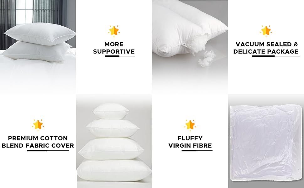 raajsee Cushion Inserts 50cm x 50cm /20 x 20 Inch (Pack of 2),Premium