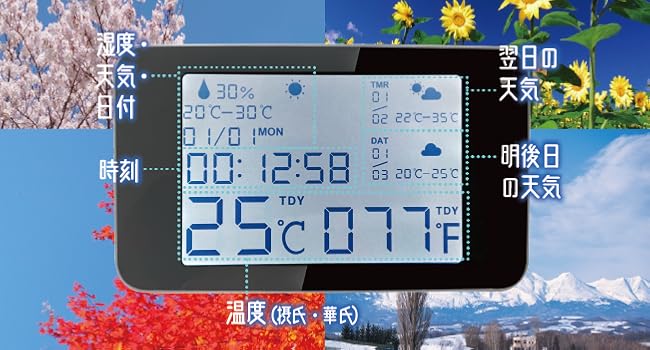 黒南天　覗箱 螺鈿の透かし台付小箱 桜に樫鳥（かしどり） 黒 | メーカー別,か
