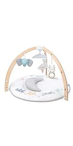 play and discover activity gym