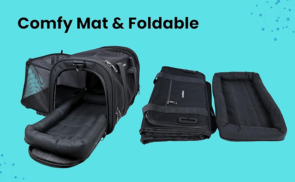 extra large cat carrier cat car carrier cat carriers for medium cats center for pet safety petskd