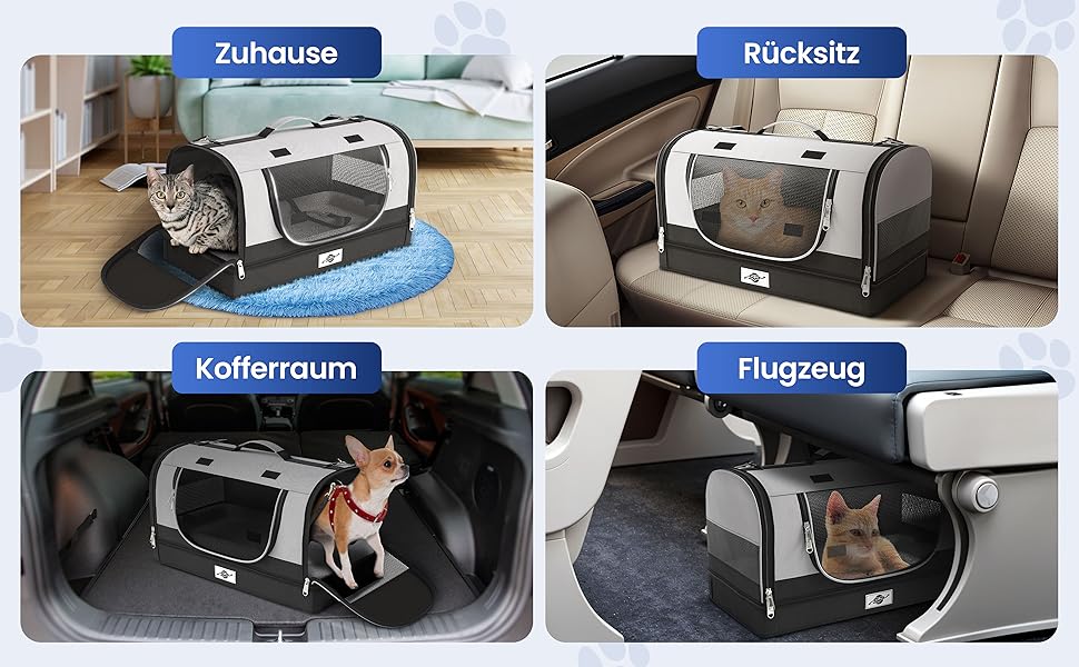 de kattendraagtas in de auto