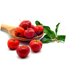 Dynamic Health Liquid Vitamin C for Kids 333 mg with Rose Hips, Acerola & Bioflavonoids