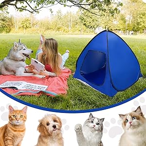 Outdoor Protection for Dogs