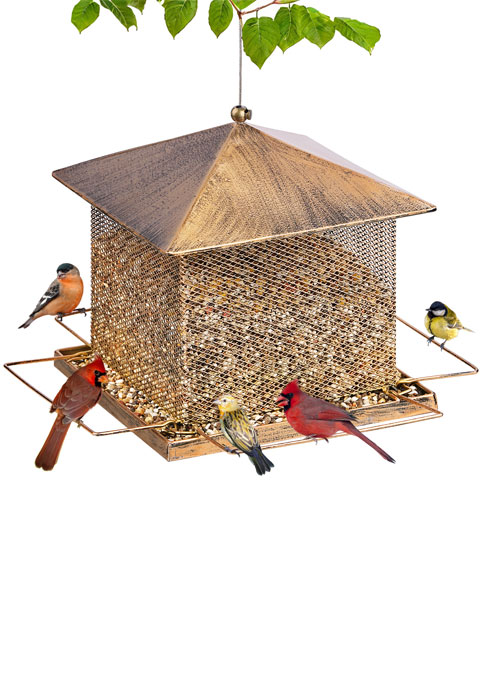 BIRD FEEDER