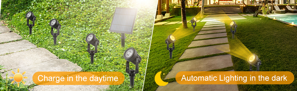 Landscape Lights