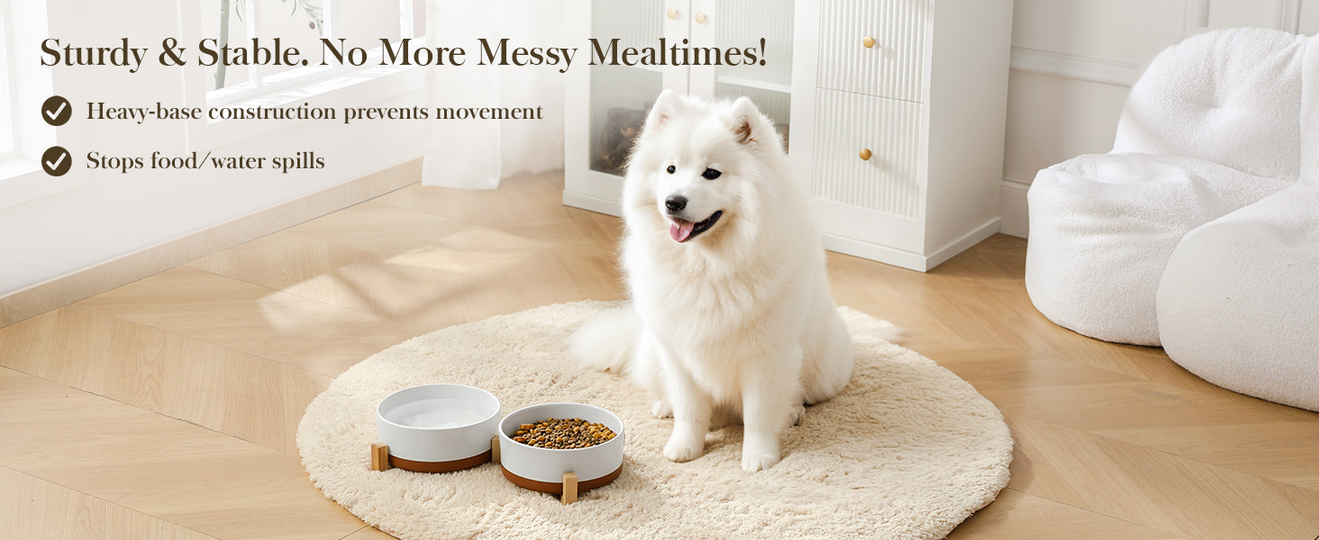 ceramic dog bowls for large dogs