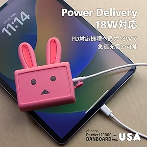 TWICE モモ　充電器　蓄電器 31DZ2Kah-bL._AC_SY200_QL15_.jpg