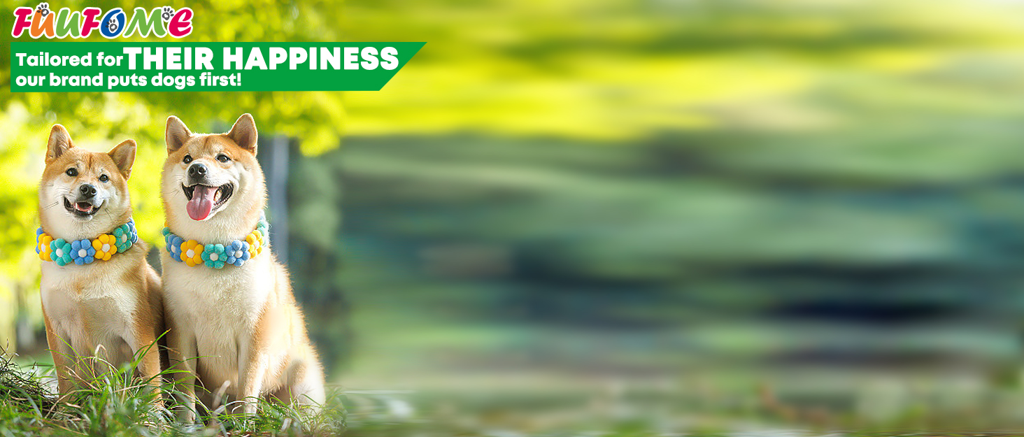 Fuufome Squeaky Dog Toys for All BreedsInteractive and