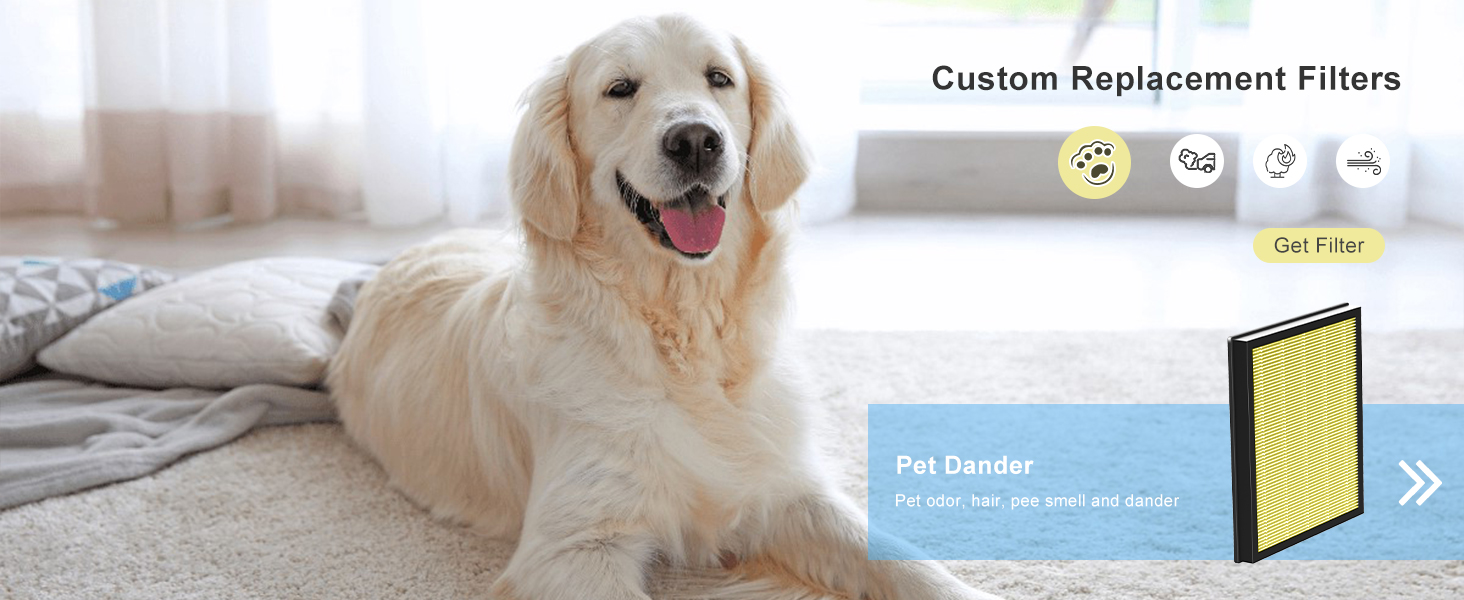 air filter pet