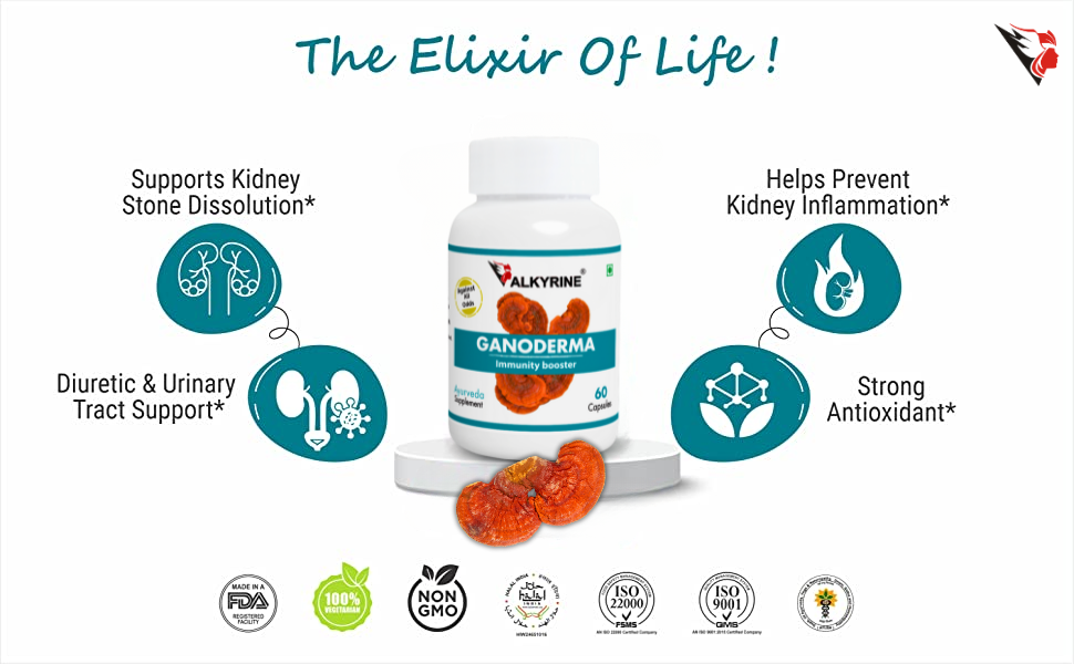 Buy Valkyrine Ganoderma - 120 Capsules(Pack of 2) Online at Low Prices ...