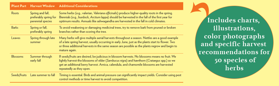 herb, organic, medicinal herbs