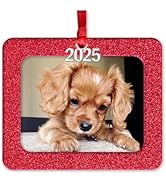 2025 Photo Ornaments for Christmas Tree, Sparkly Glitter Christmas Frame Ornament, Easy-Load Magn...