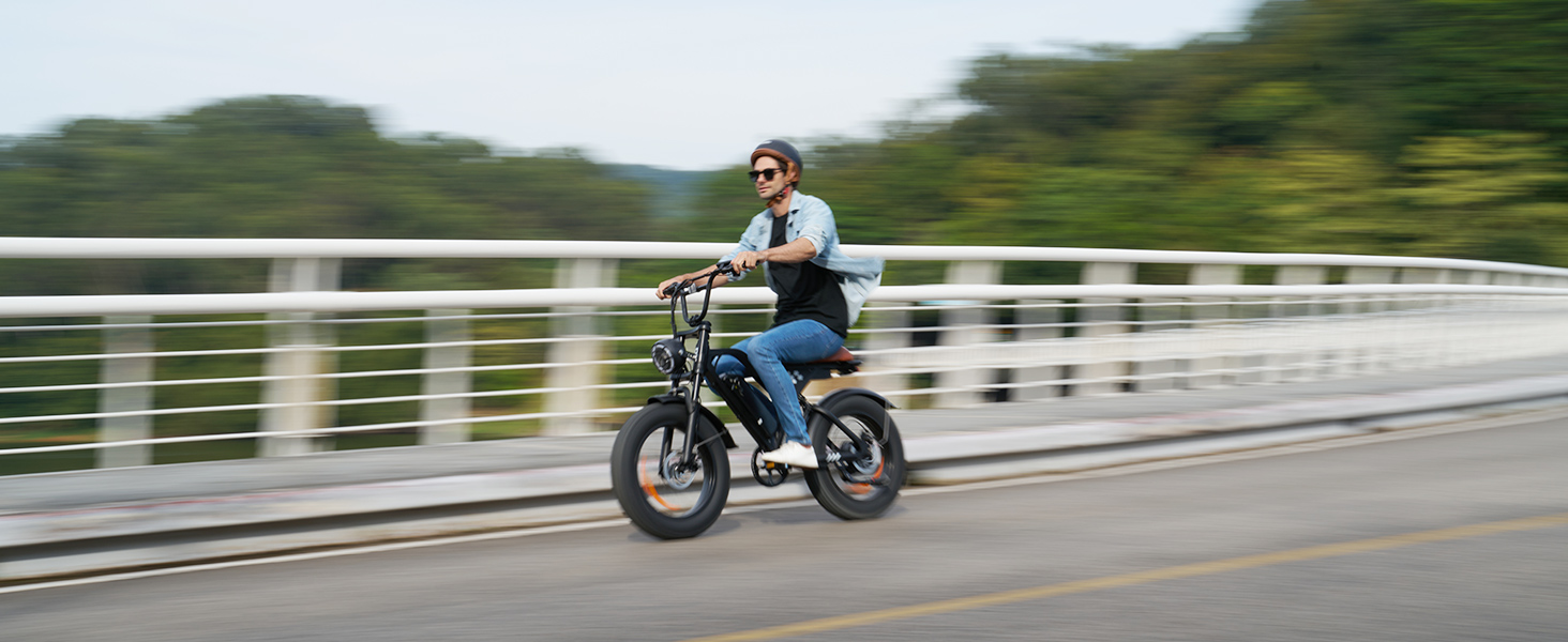 adult electric bicycles