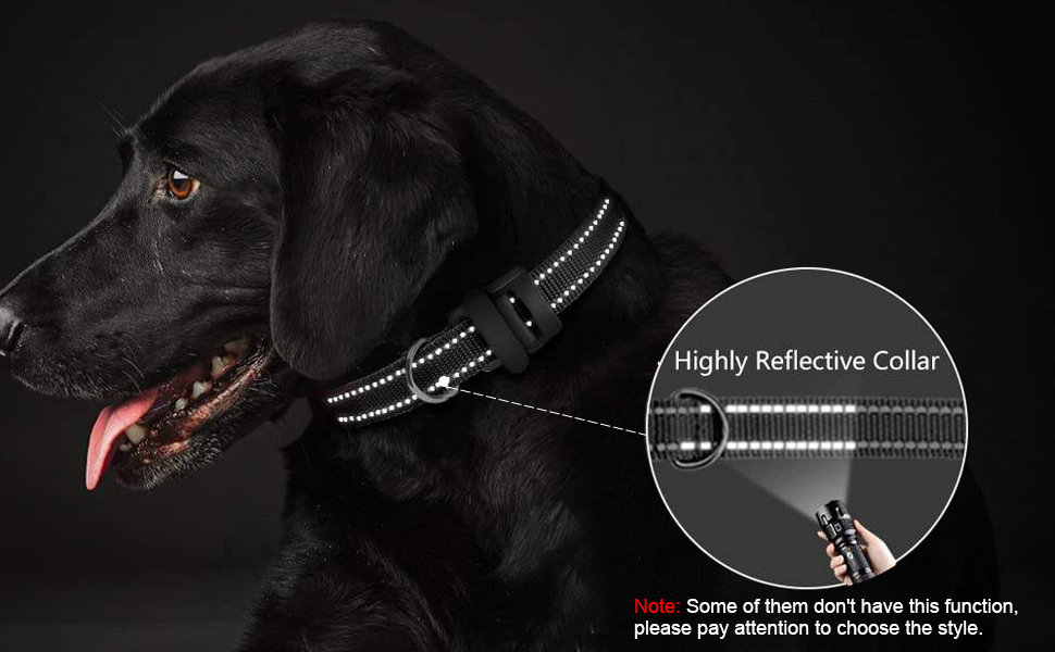 pet collar replacement