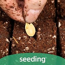 Drop The Seeds
