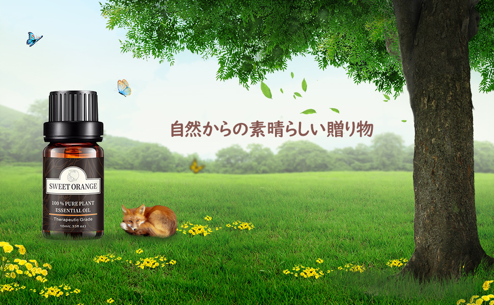 Sweet Orange Essential Oil 100% Natural Orange Essential Oil Aroma Oil 0.3 fl oz (10 ml)