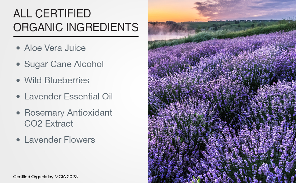 Wild Blueberry Lavender Facial Mist Ingredients